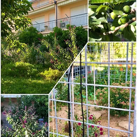 Amigo Comfort شقة *