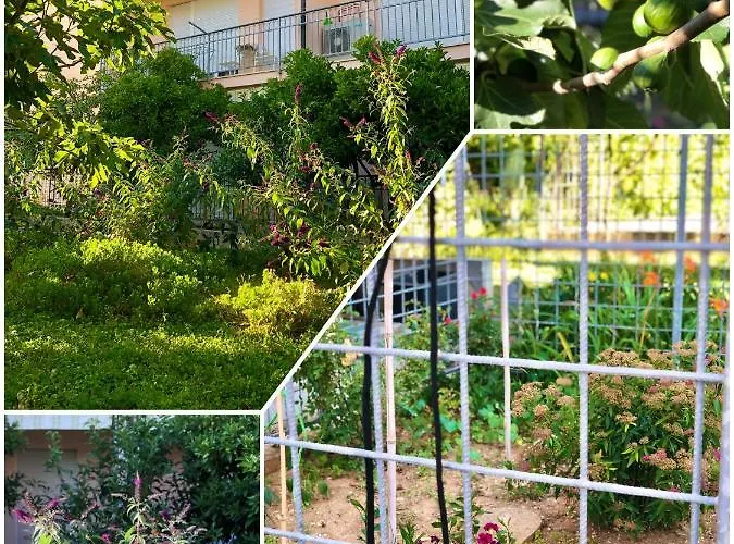 Amigo Comfort شقة *